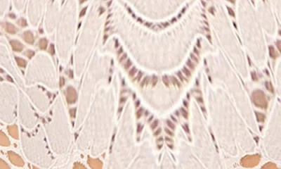 Le Mystere Le Mystère Lace Allure Boyshorts In Multi