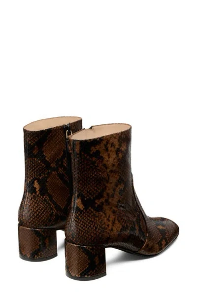 Stuart Weitzman Maeve Snake-printed Leather Booties In Brown
