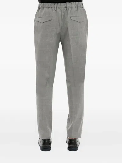 Devore Pleated Elastic-waist Trousers In Gray