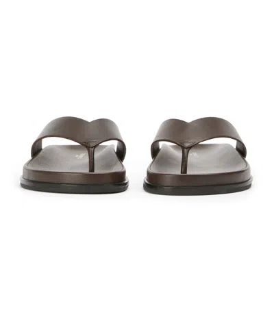 Tony Bianco Loop Choc In Brown