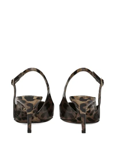 Dolce & Gabbana Closed Wool Blend Single-breasted Jacket In Animal Print
