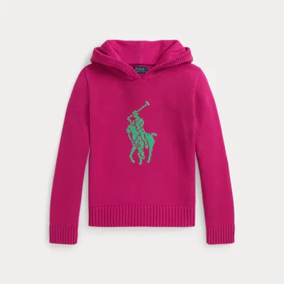 Polo Ralph Lauren Ralph Lauren Big Pony Cotton Hooded Sweater In Pink