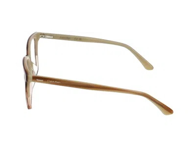 Calvin Klein Eyeglasses In Brown