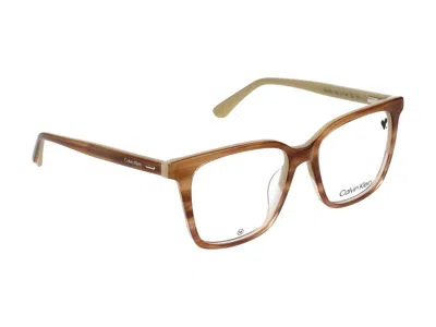 Calvin Klein Eyeglasses In Brown