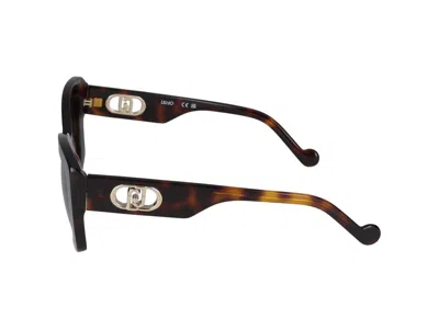 Liu •jo Liu Jo Sunglasses In Brown