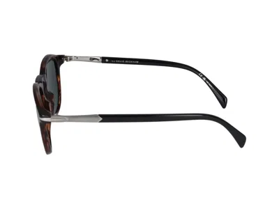 David Beckham Sunglasses  Db 1114/s Ex4 Brown Horn /21/145 In Multi
