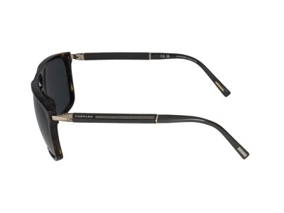 Chopard Sunglasses  Sch311 722 P Avana Scura Lucida /18/140