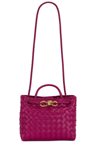 Bottega Veneta Small Andiamo Bag