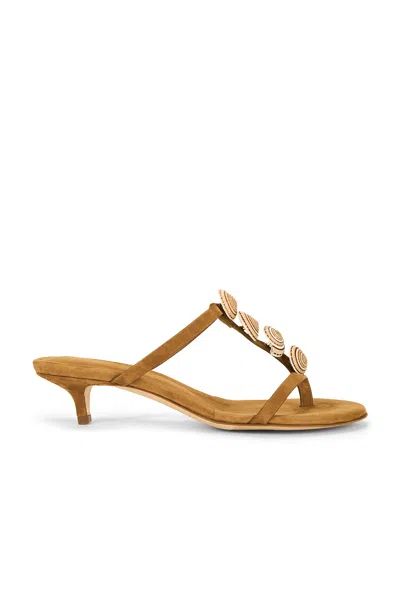 Christopher Esber Sundial Seashell Leather Kitten Heels In Multi