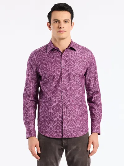 Robert Graham Highland Stretch Cotton Button-up Shirt In Purple