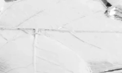 Michael Aram Forest Leaf Trivet In Silver