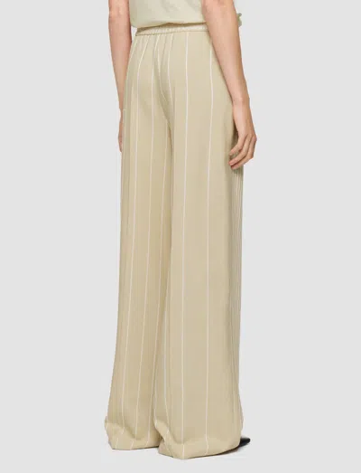 Joseph Alanel Embroidered Stripes Trousers In Neutral