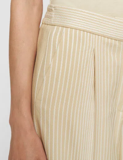 Joseph Alanel Embroidered Stripes Trousers In Neutral