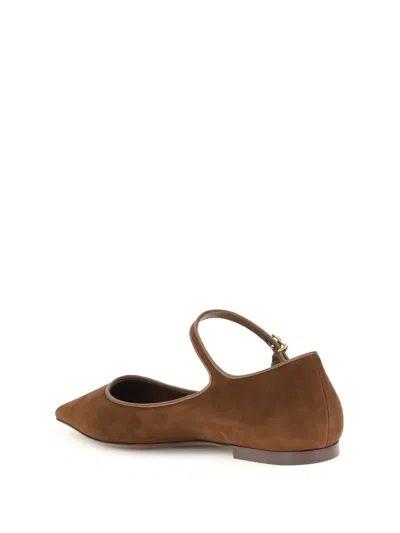 Dolce & Gabbana Women Suede And Nappa Leather Ballerinas In Brown