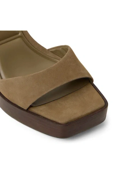 Aldo Lothon Platform Sandal In Animal Print