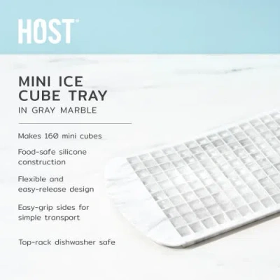 Host Mini Ice Cube Tray In Gray