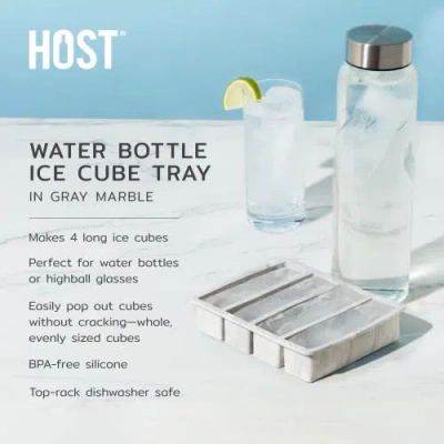 Host Water Bottle Ice Cube Tray In Gray