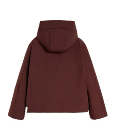 Jil Sander 06 Puffer Jackets Bordeaux In Brown