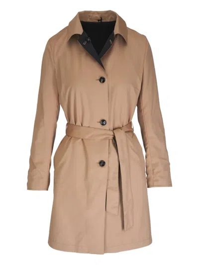 Kiton Belted Collared Coat In Black