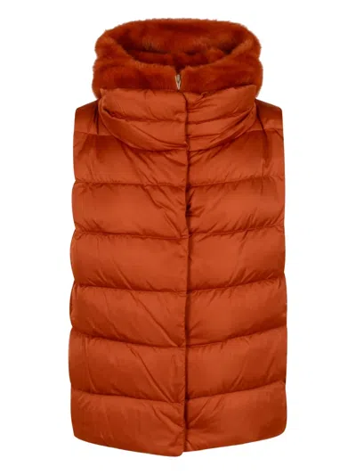 Herno Quilted Gilet In Orange