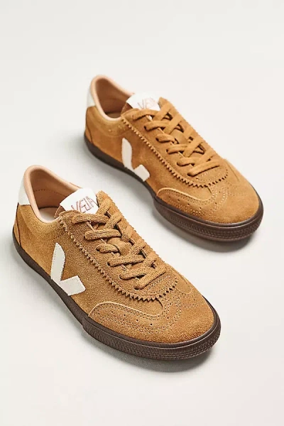 Veja Volley Suede Tent Natural Eagle Sneakers In Brown