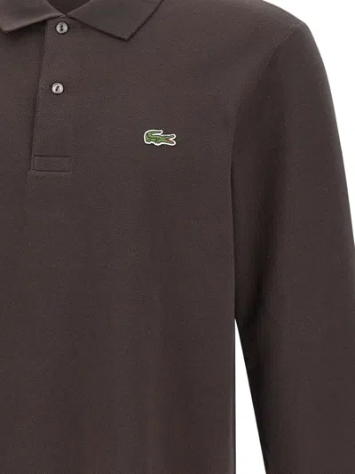 Lacoste Polo With Logo In Brown