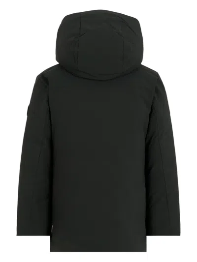 Save The Duck Logo-patch Hooded Padded Jacket In Black