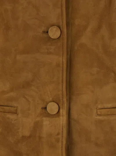 Tory Burch Structured Jacket With Tailored Silhouette In Brown