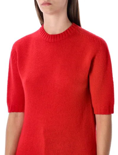 Fabiana Filippi Short Sleeve Cashmere Knit Sweater In Red