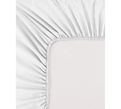 Serene Sleep 1000-thread Count 4-pc. Sheet Set, Queen In White