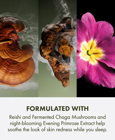 Origins Mega Mushroom Overnight Recovery Cream Moisturizer In Green