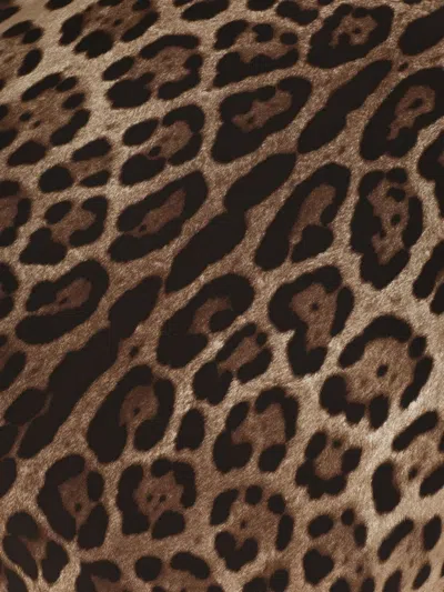 Dolce & Gabbana Leopard-print Silk Cushion (60cm X 60cm) In Animal Print