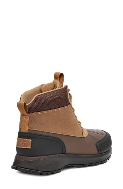 Ugg Emmett Duck Lace-up Boot In Brown