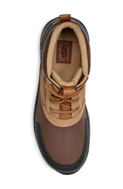 Ugg Emmett Duck Lace-up Boot In Brown