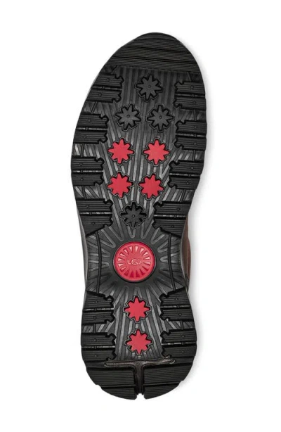 Ugg Emmett Duck Lace-up Boot In Brown