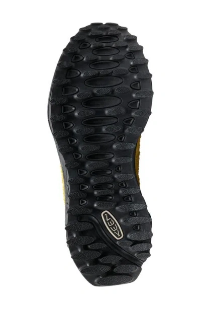 Keen Sneaker Jasper Zionic M In Multi