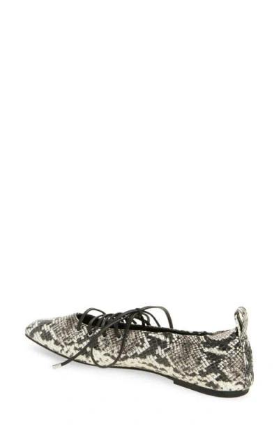 Rag & Bone Sophia Ballet Flat In Multi