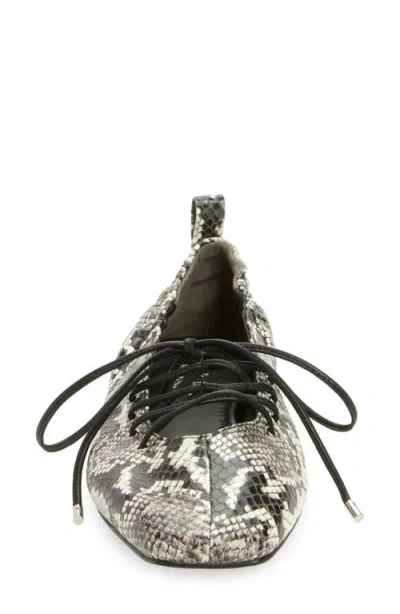 Rag & Bone Sophia Ballet Flat In Multi