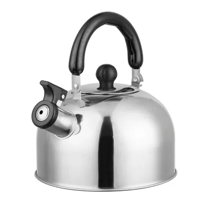 Global Bazaar 2.1qt Stainless Steel Whistling Tea Kettle Stovetop Teapot In Metallic