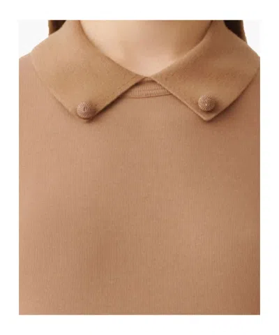 Fabiana Filippi Short Sleeve T-shirt With Knit Collar And Pins In Brown