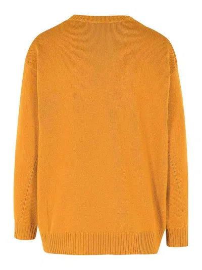 Max Mara Fido Wool And Cashmere Sweater In Brown