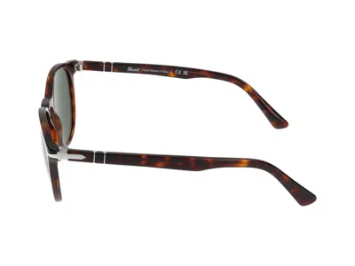 Persol Havana Acetate Sunglasses In Brown