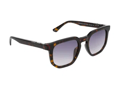 Police Sunglasses In Brown