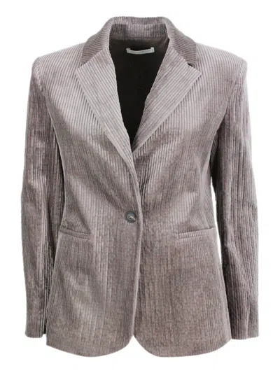 Antonelli Florence Jackets In Gold