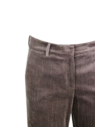 Antonelli Brown Trousers With Belt Loops In Velvet Woman In Multi