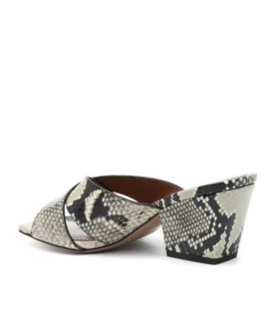 Paris Texas Arizona Snake-embossed Leather Mule Sandals In Animal Print
