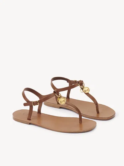 Chloé Chloe Women Caramel Leather Chloe Charms Thong Sandals In Brown