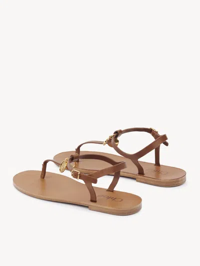 Chloé Chloe Women Caramel Leather Chloe Charms Thong Sandals In Brown