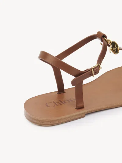Chloé Chloe Women Caramel Leather Chloe Charms Thong Sandals In Brown