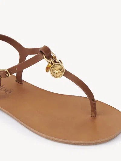 Chloé Chloe Women Caramel Leather Chloe Charms Thong Sandals In Brown